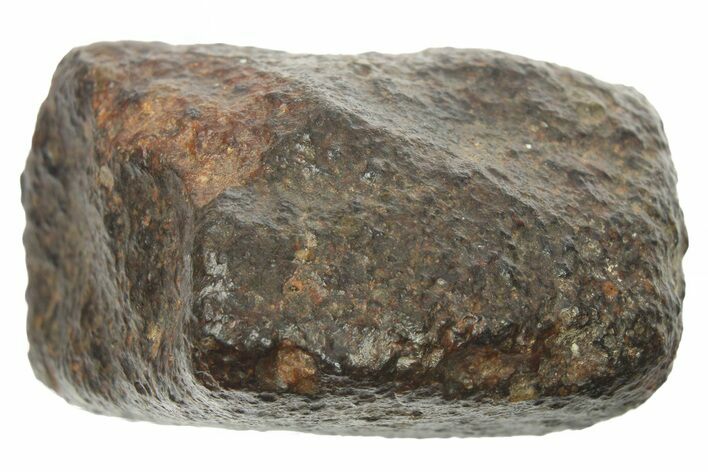 Fusion Crusted Meteorite Section ( g) - Unclassified NWA #265650